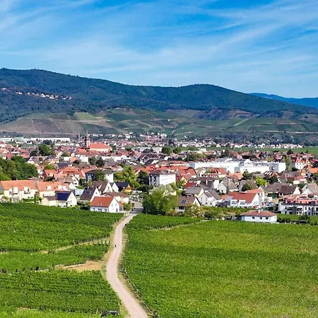 Le Cerf Apartmán Wintzenheim
